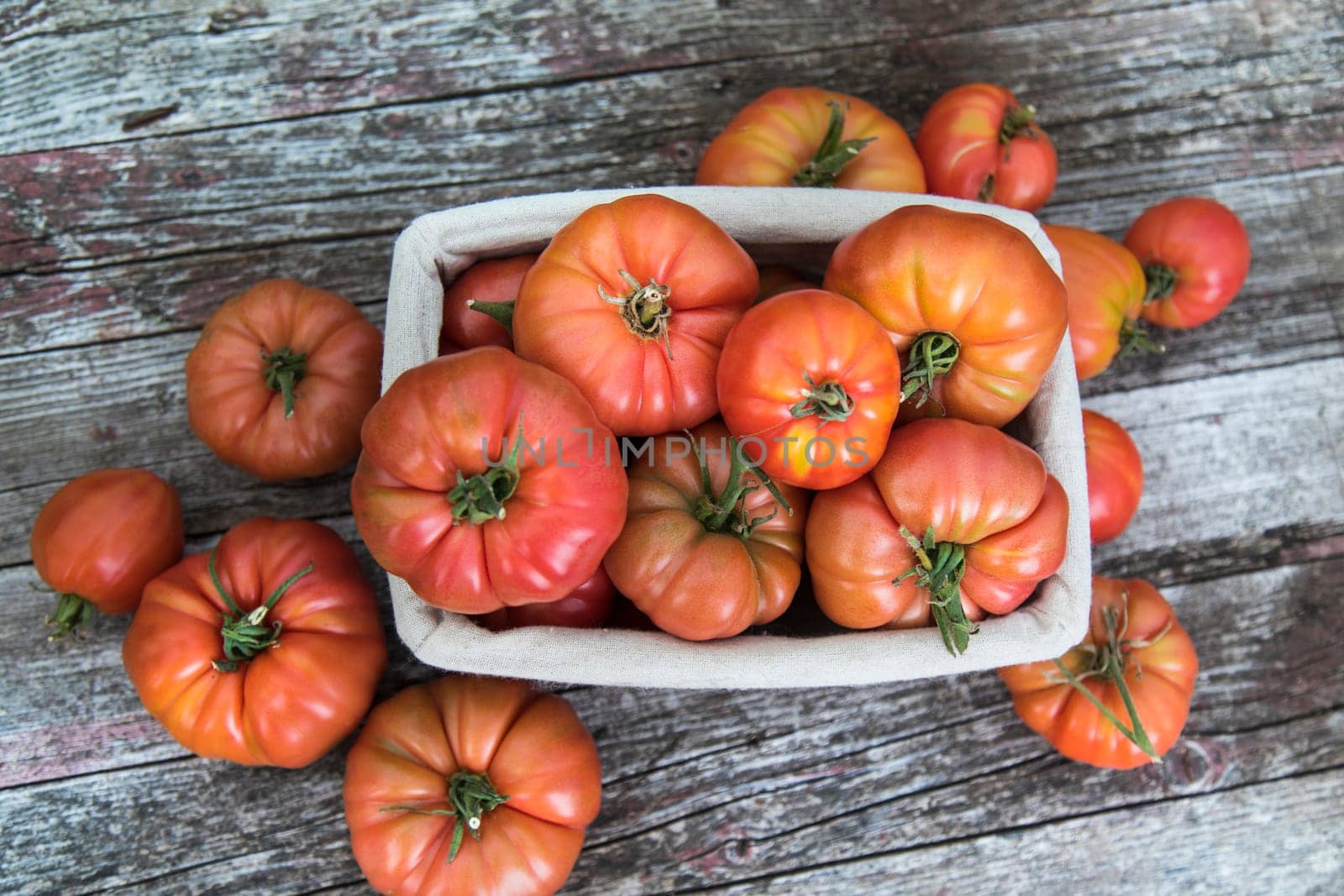 Tomatoes vegetable garden, organic products