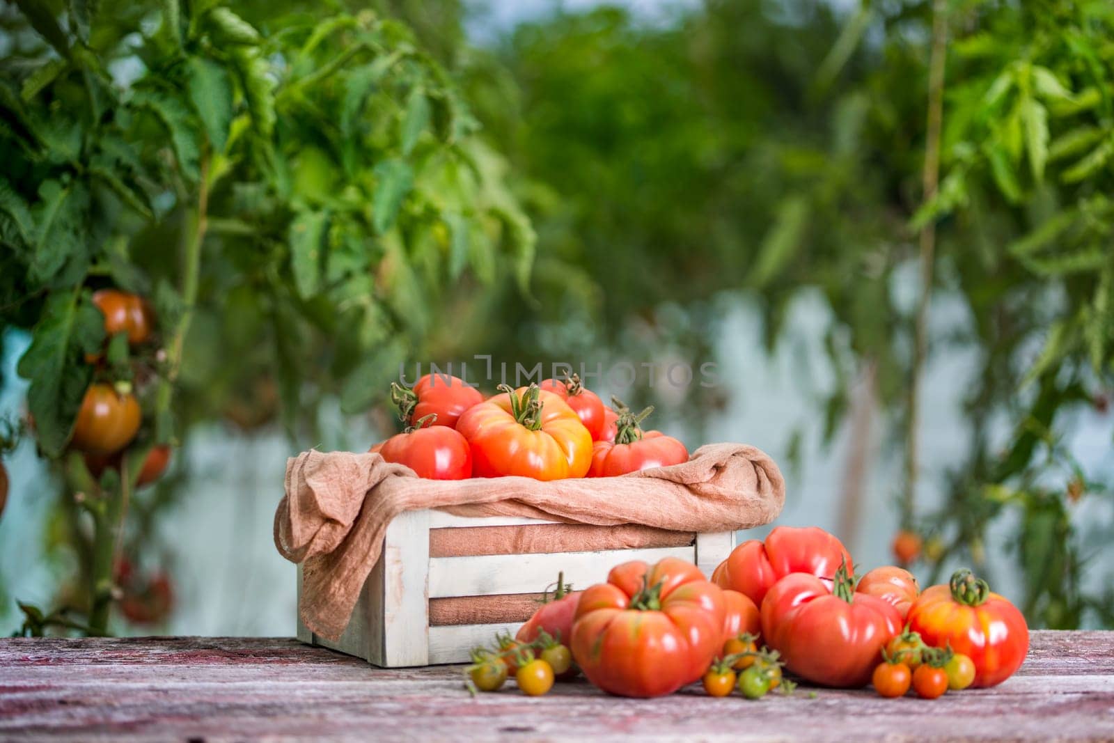Fresh tomatoes in a wooden crate
