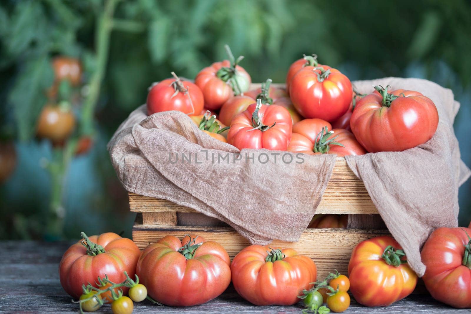Vegetables, tomatoes on wooden desk