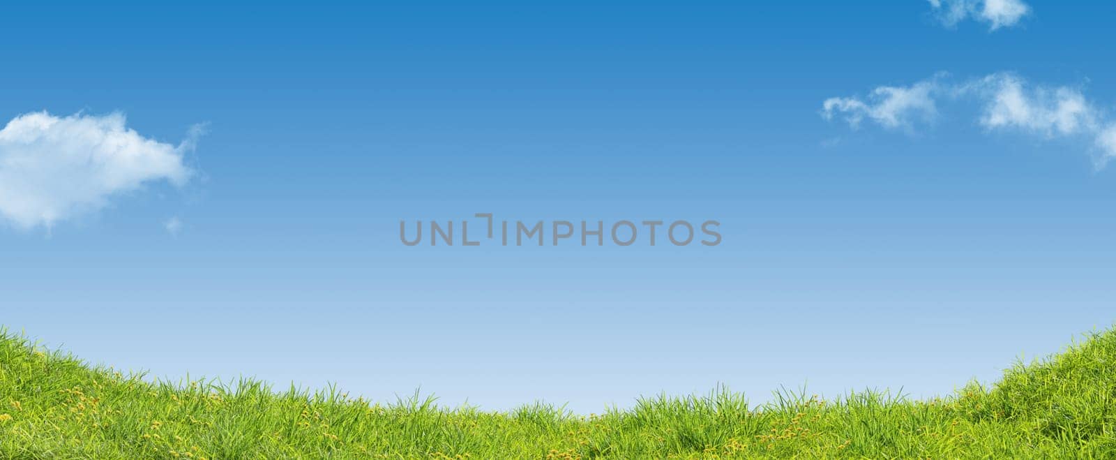 Green summer meadow with a beautiful blue sky and clouds, 3d rendering