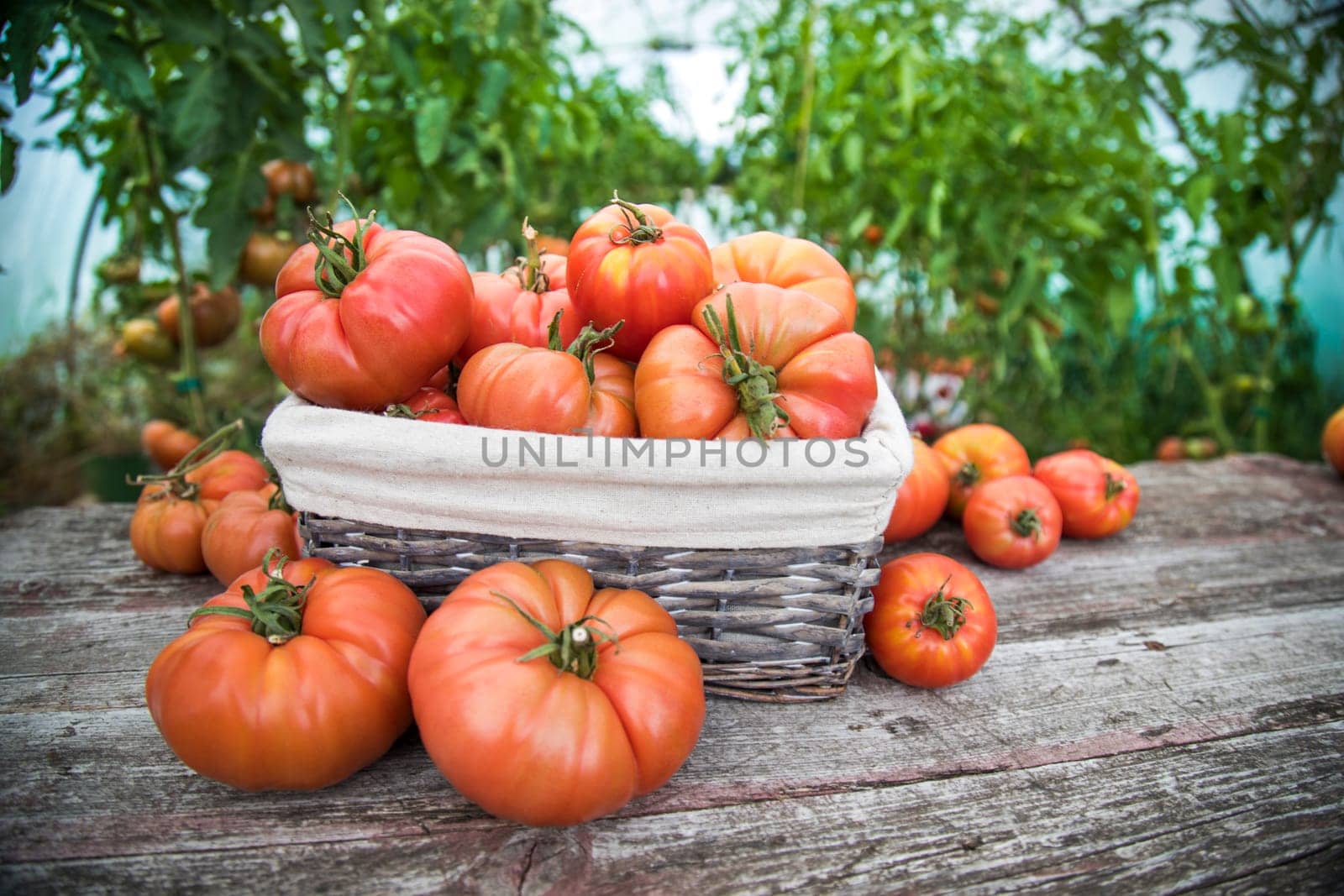 Vegetables, tomatoes on wooden desk