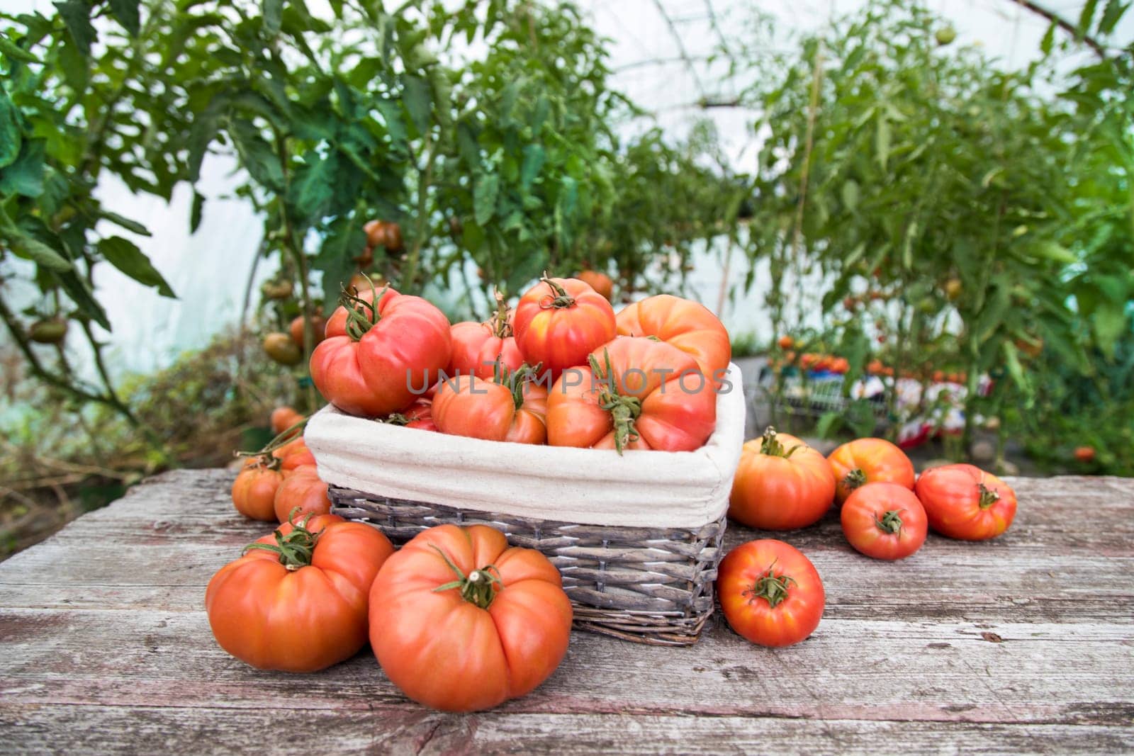Vegetables, tomatoes on wooden desk