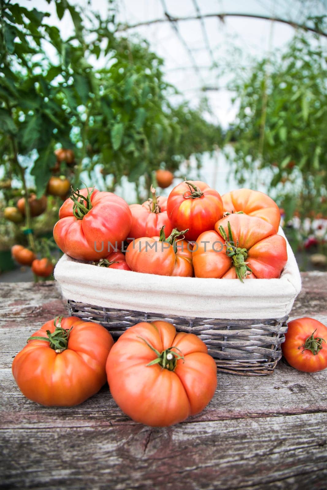 Vegetables, tomatoes on wooden desk