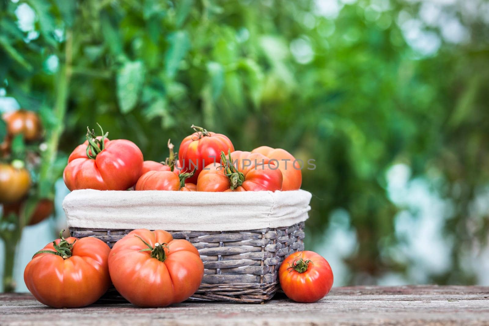 Vegetables, tomatoes on wooden desk