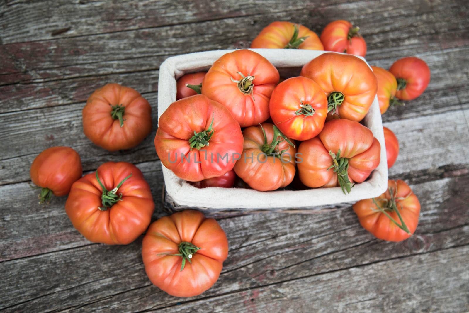Red Tomatoes in a Greenhouse, organic food