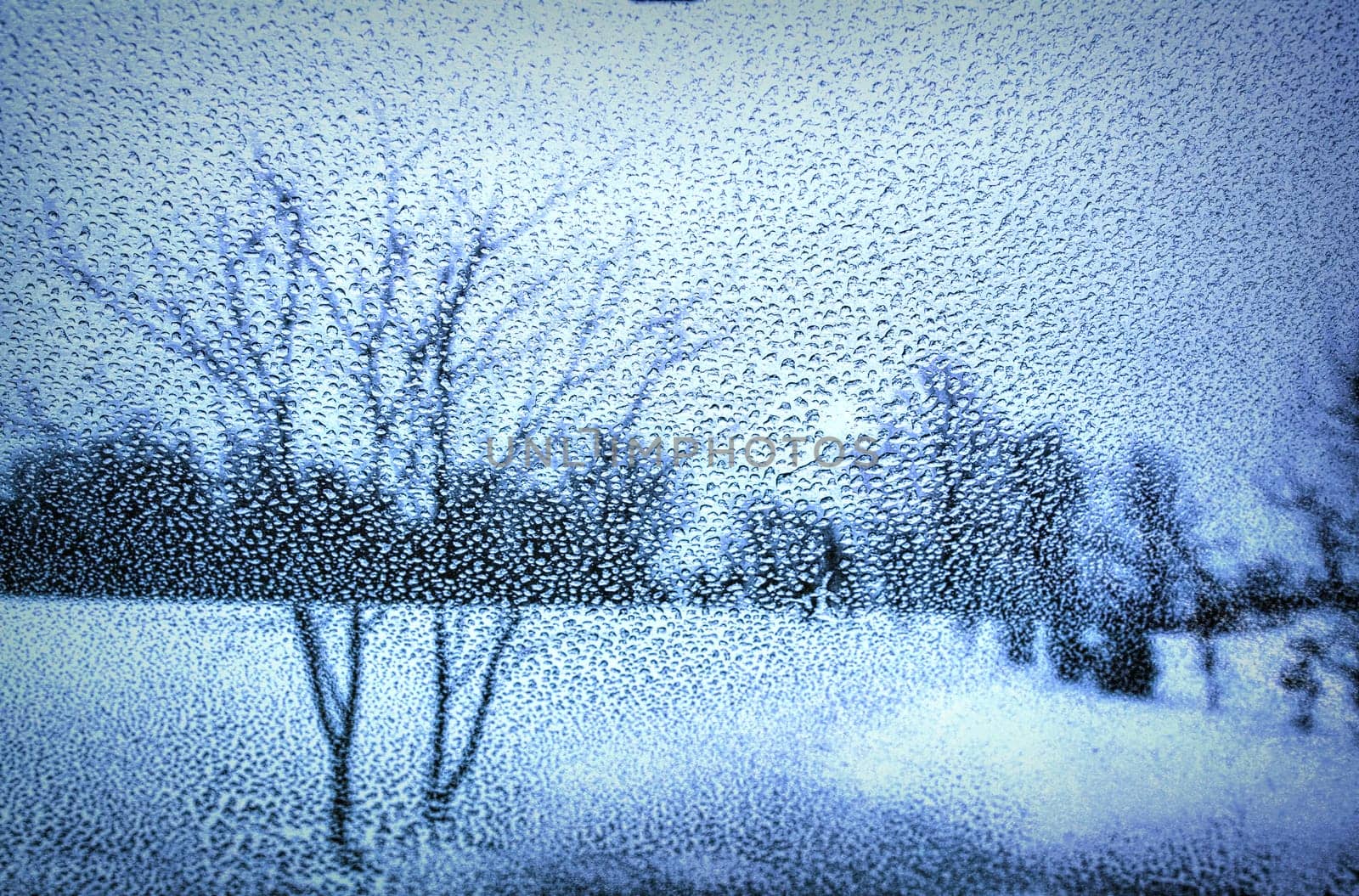 Depressing snow in Grand Isle, VT