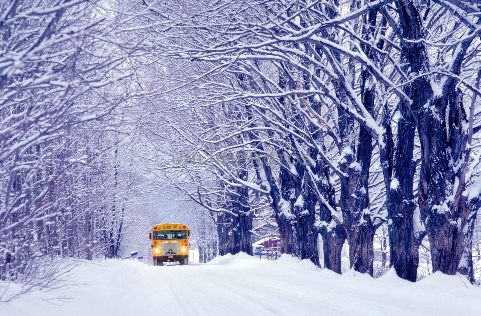 Going to school on a cold winter day in Jericho, Vermont.
