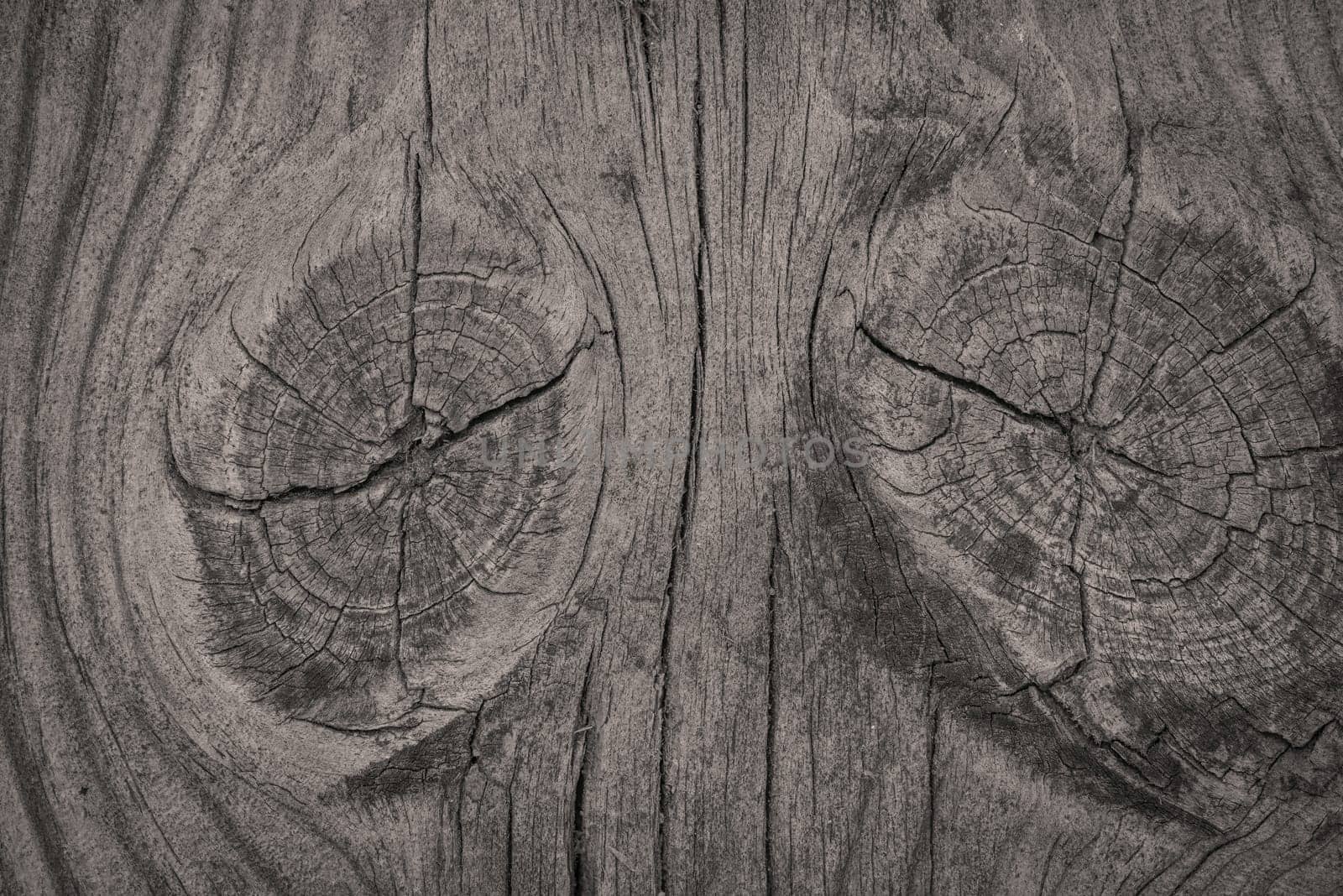 Close-up of a rough wooden background with textures