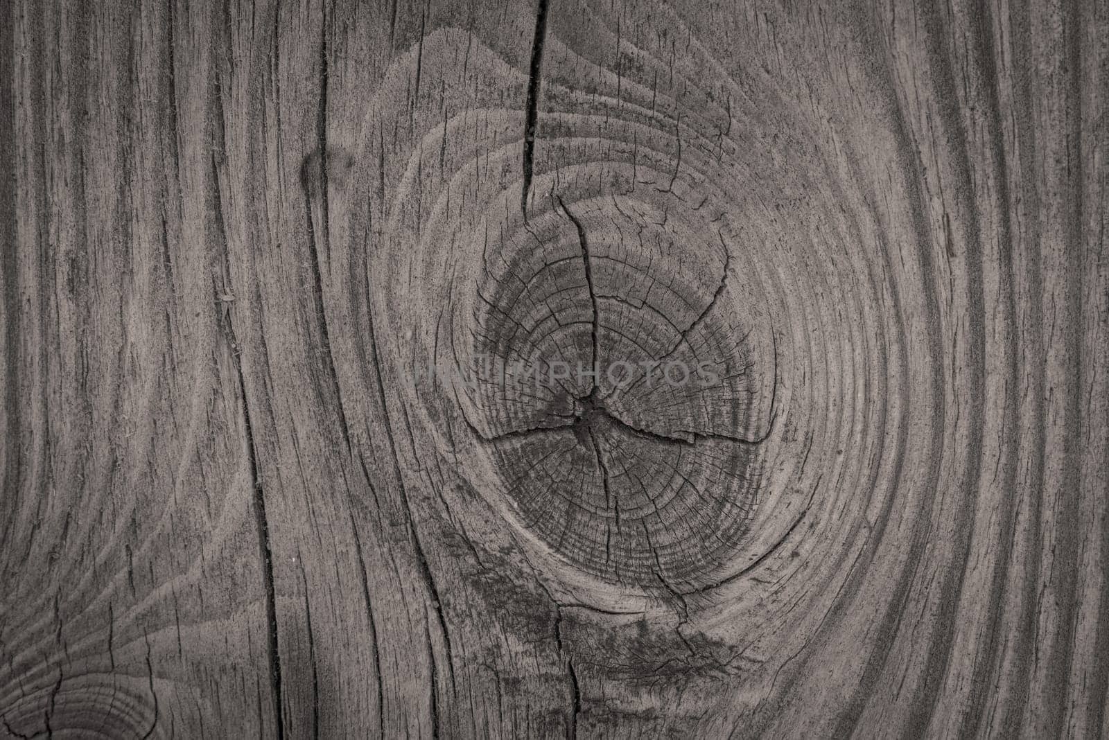 Close-up of a wooden background with textures