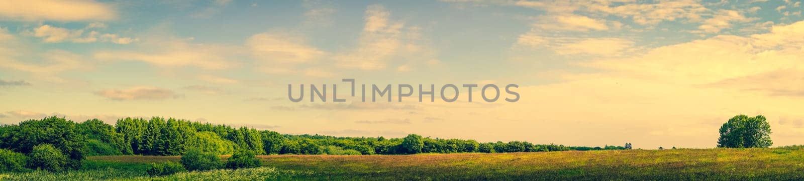 Panorama landscape of a prairie with green trees