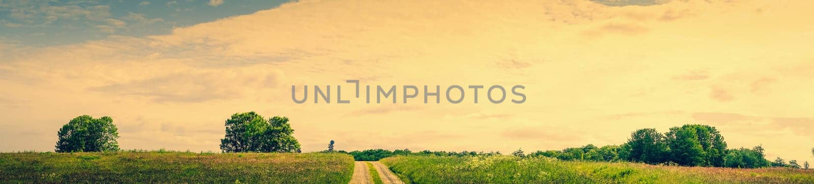 Road going through a beautiful nature landscape