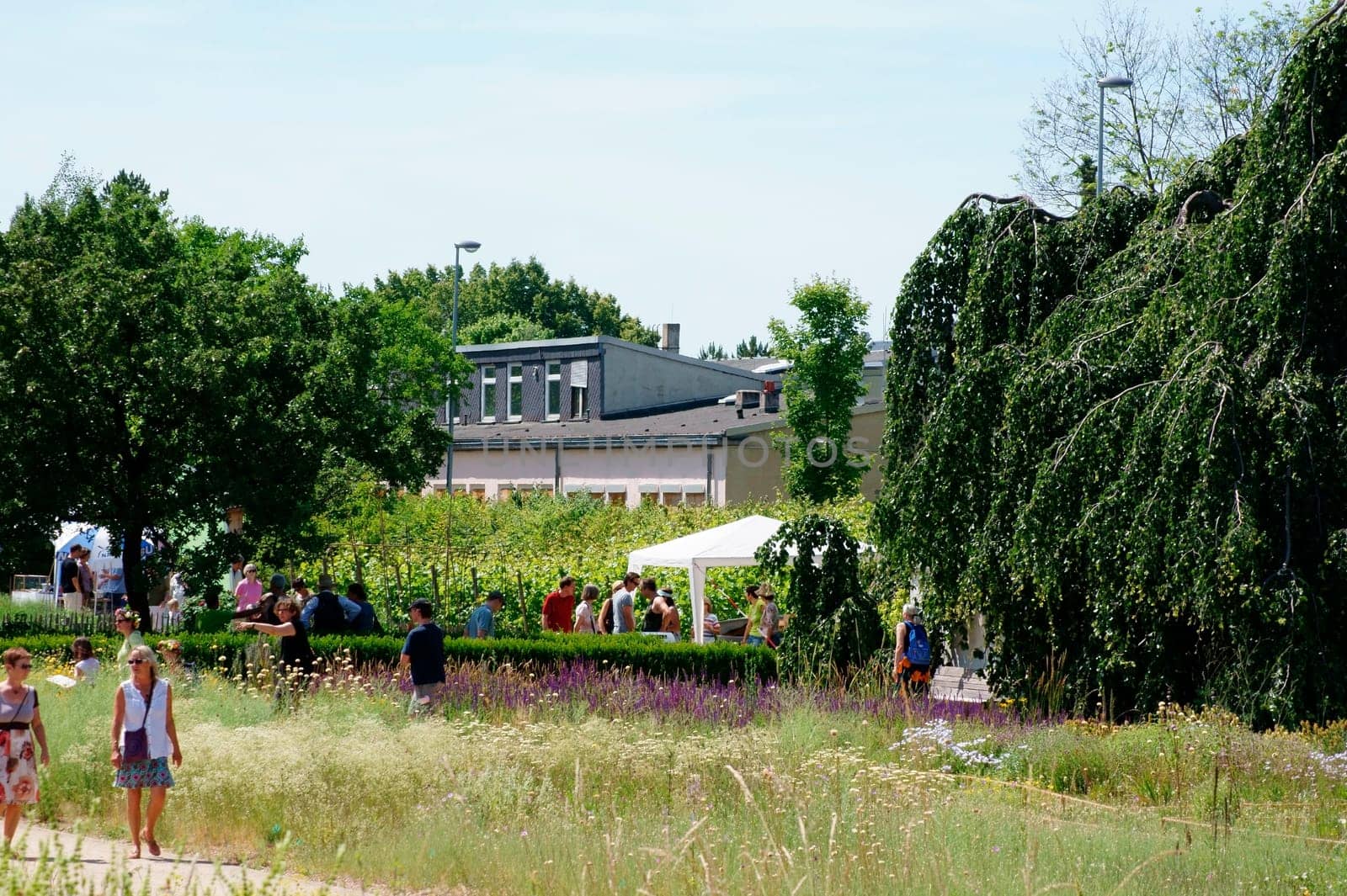 Mainz,Germany – June 14,2015: Flower lovers look at flower beds at the summer festival of the botanical garden of the University of Mainz on June 14,2015 in Mainz.