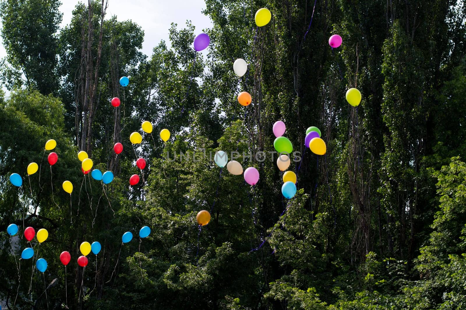 balloons in the sky against trees, the last call school