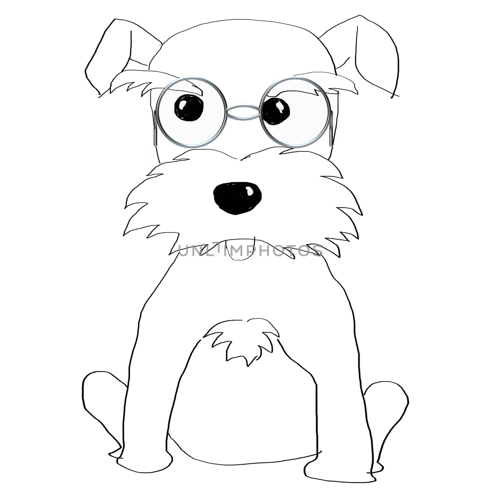 Hand painted Schnauzer