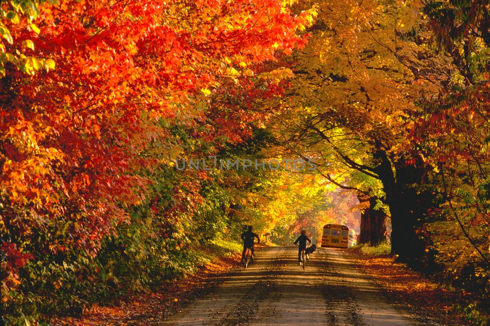 Two boys rushing to school in Jericho, Vermont.