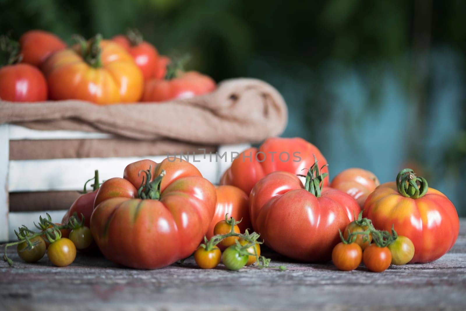 Vegetables, tomatoes on wooden desk