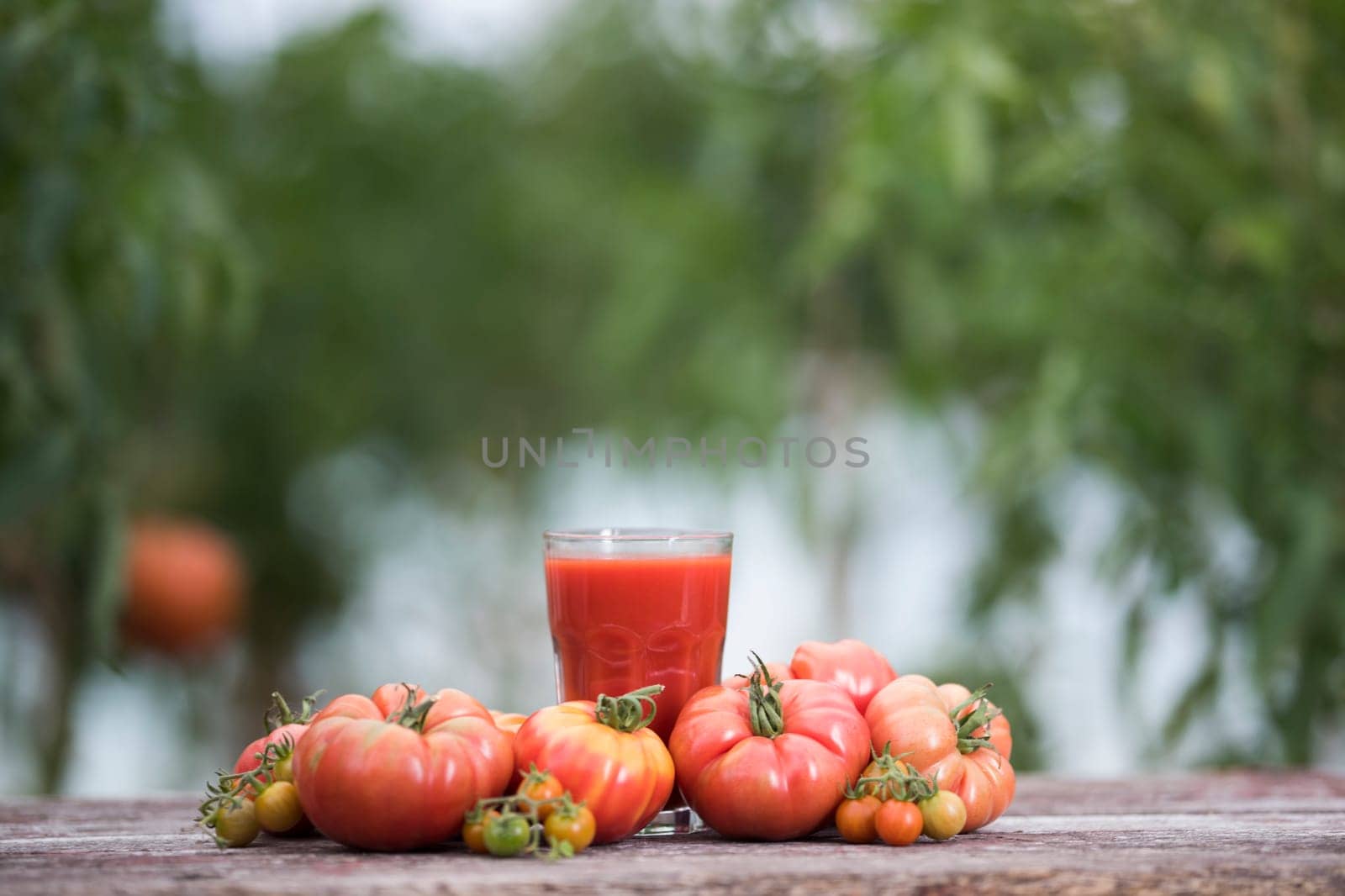 Fresh red tomato juice, on a wooden background