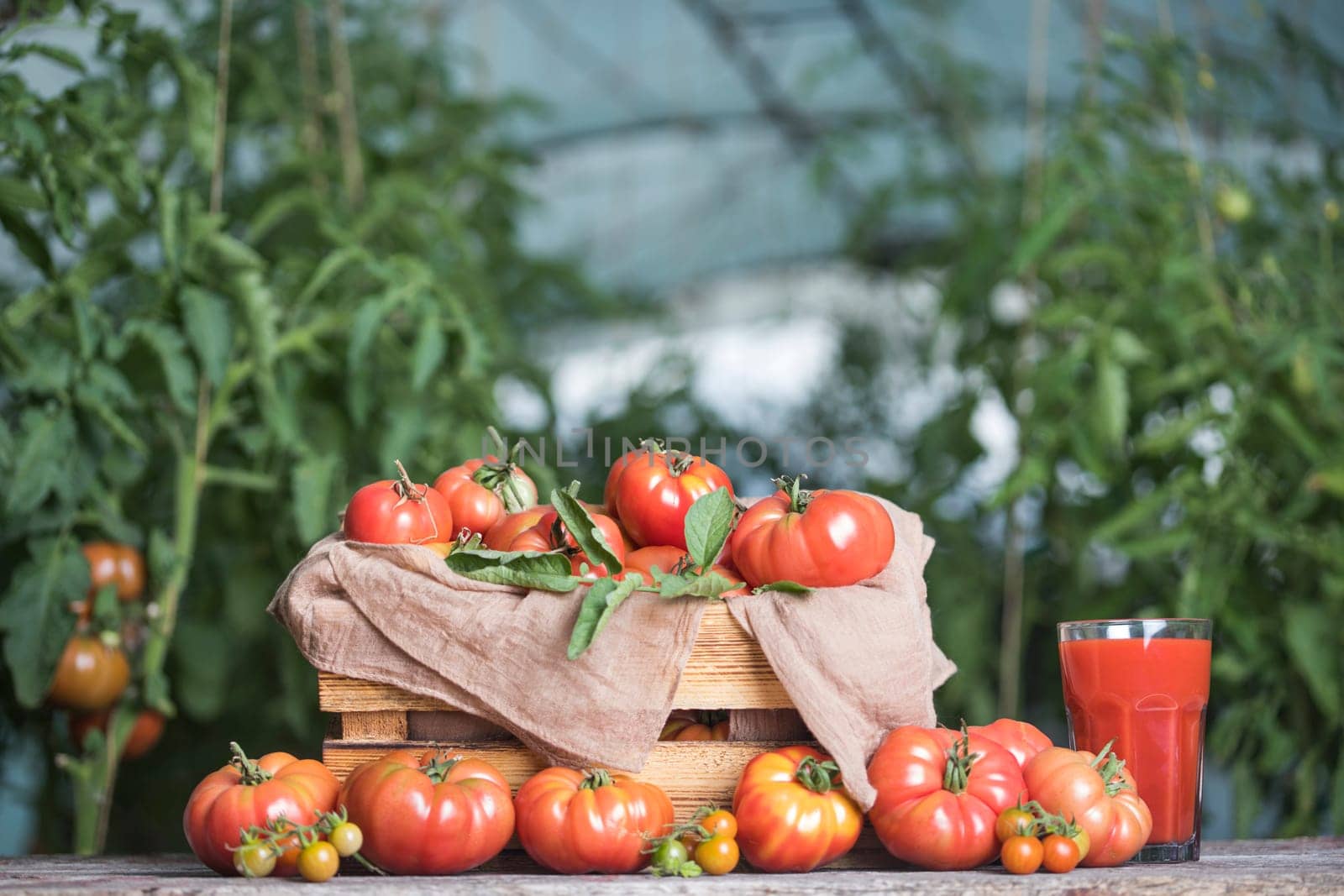 Fresh red tomato juice, on a wooden background
