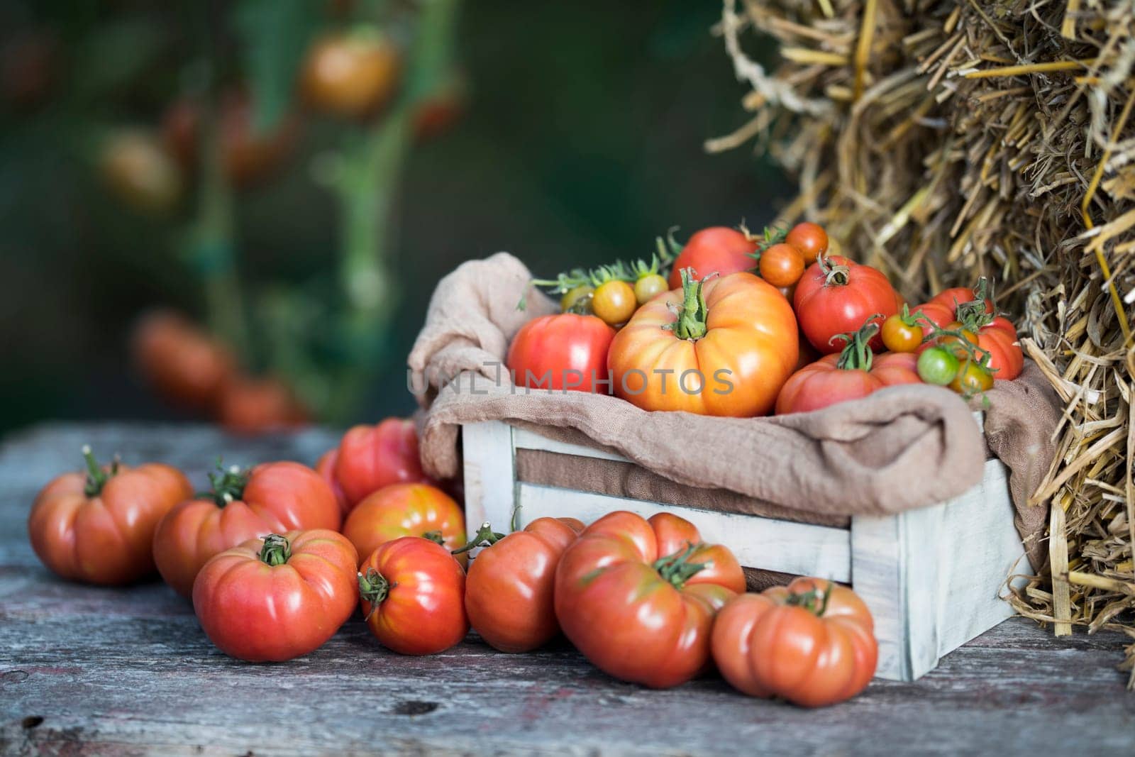 Fresh tomatoes in a wooden crate