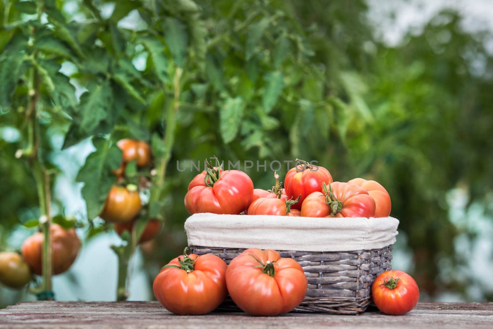Vegetables, tomatoes on wooden desk