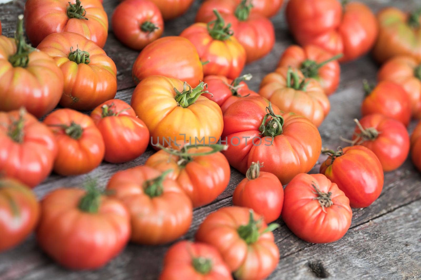 Vegetables, Tomatoes,  on desk in garden