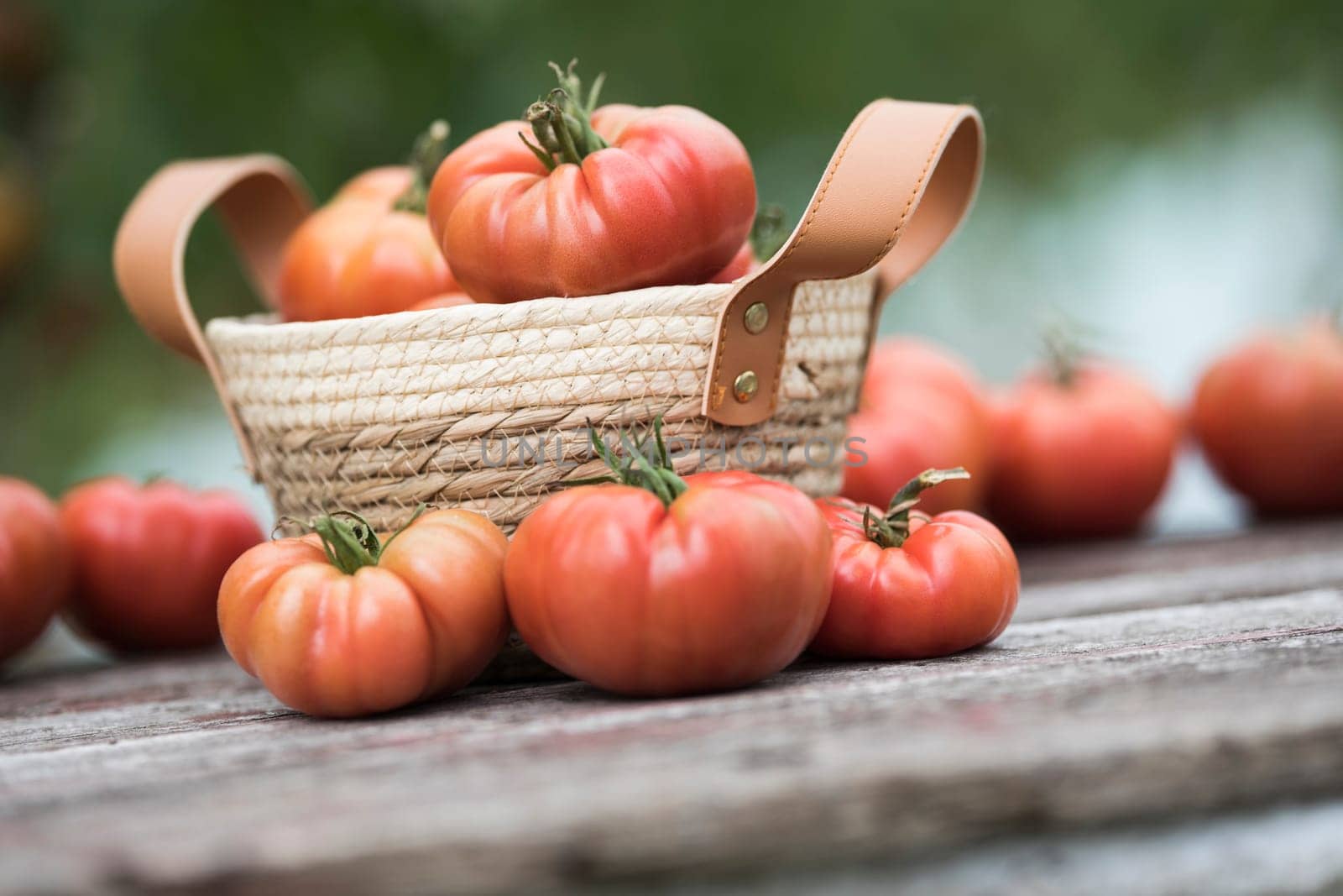 Organic food, Free red vegetables of tomato