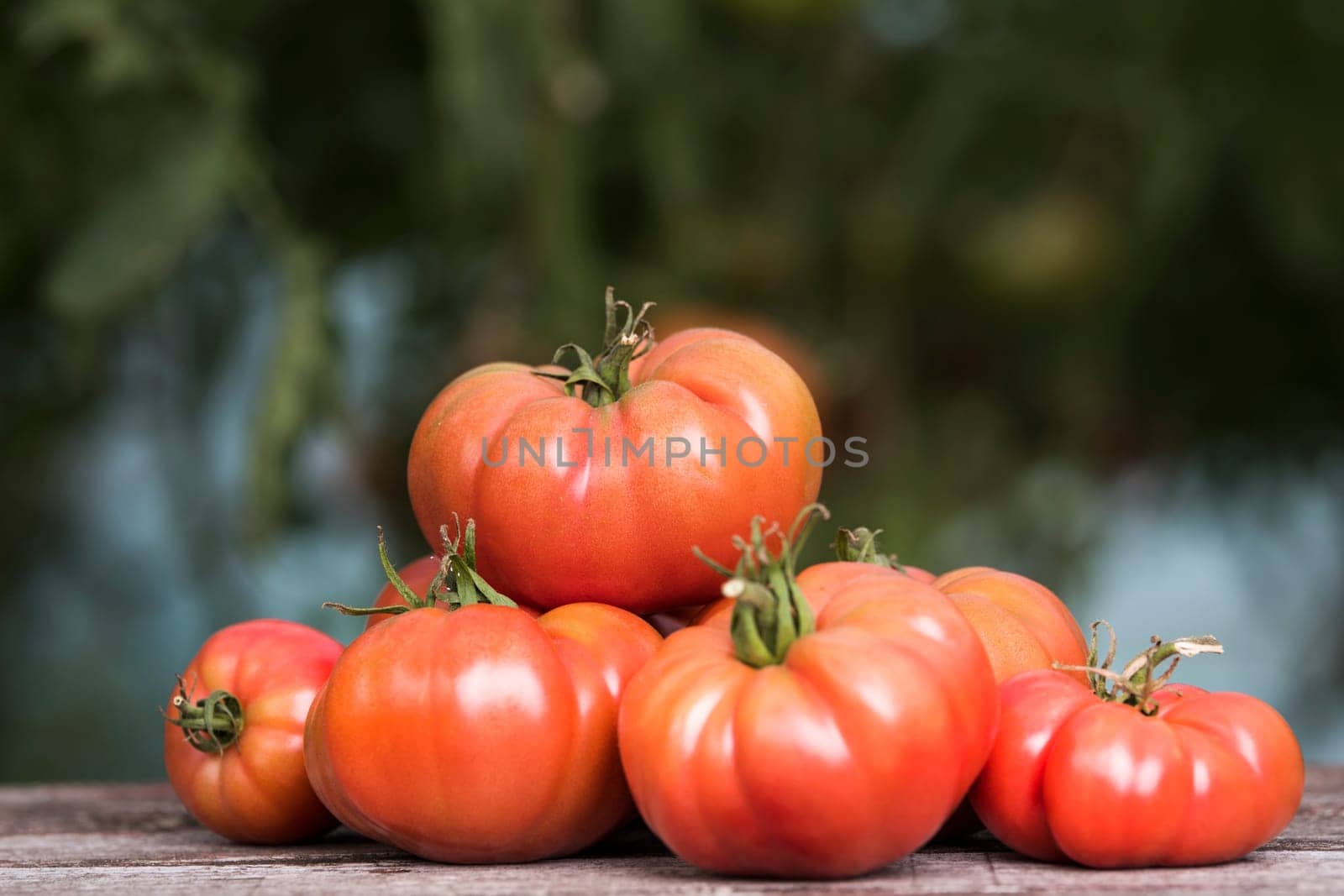 Vegetables, tomatoes on wooden desk
