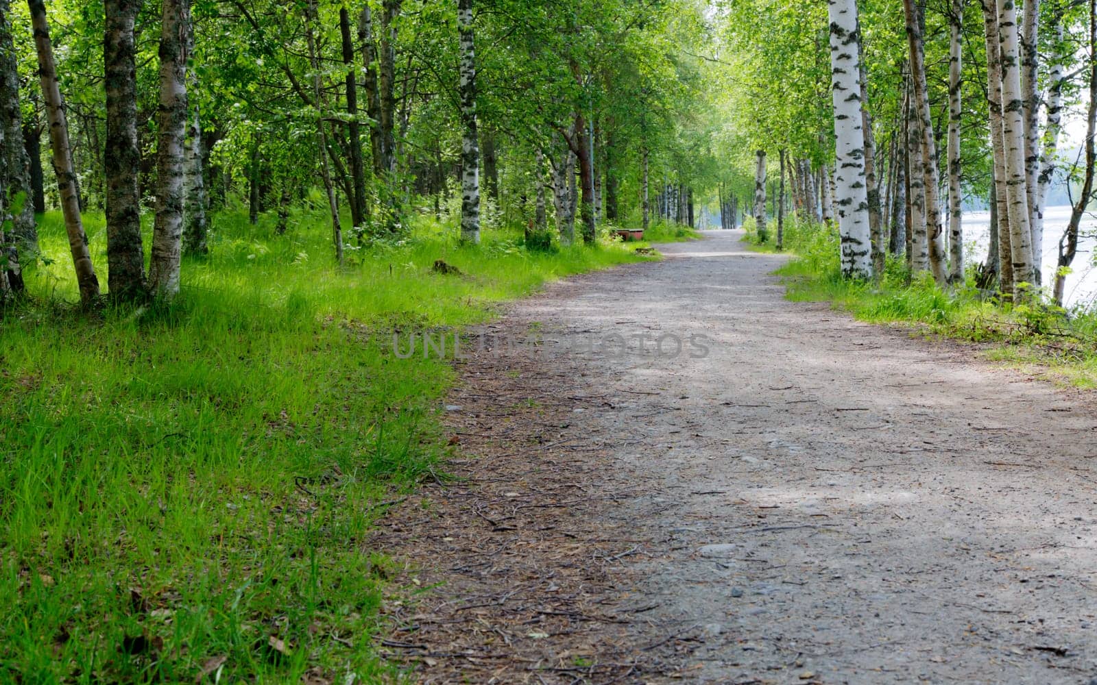 Gravel Road in Umeå, Sweden with the river to the right.