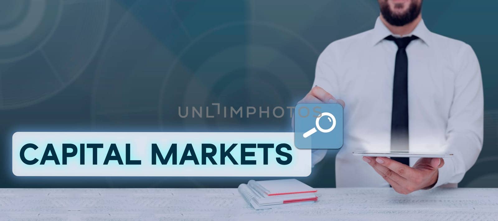 Text sign showing Capital Markets, Business overview Allow businesses to raise funds by providing market security