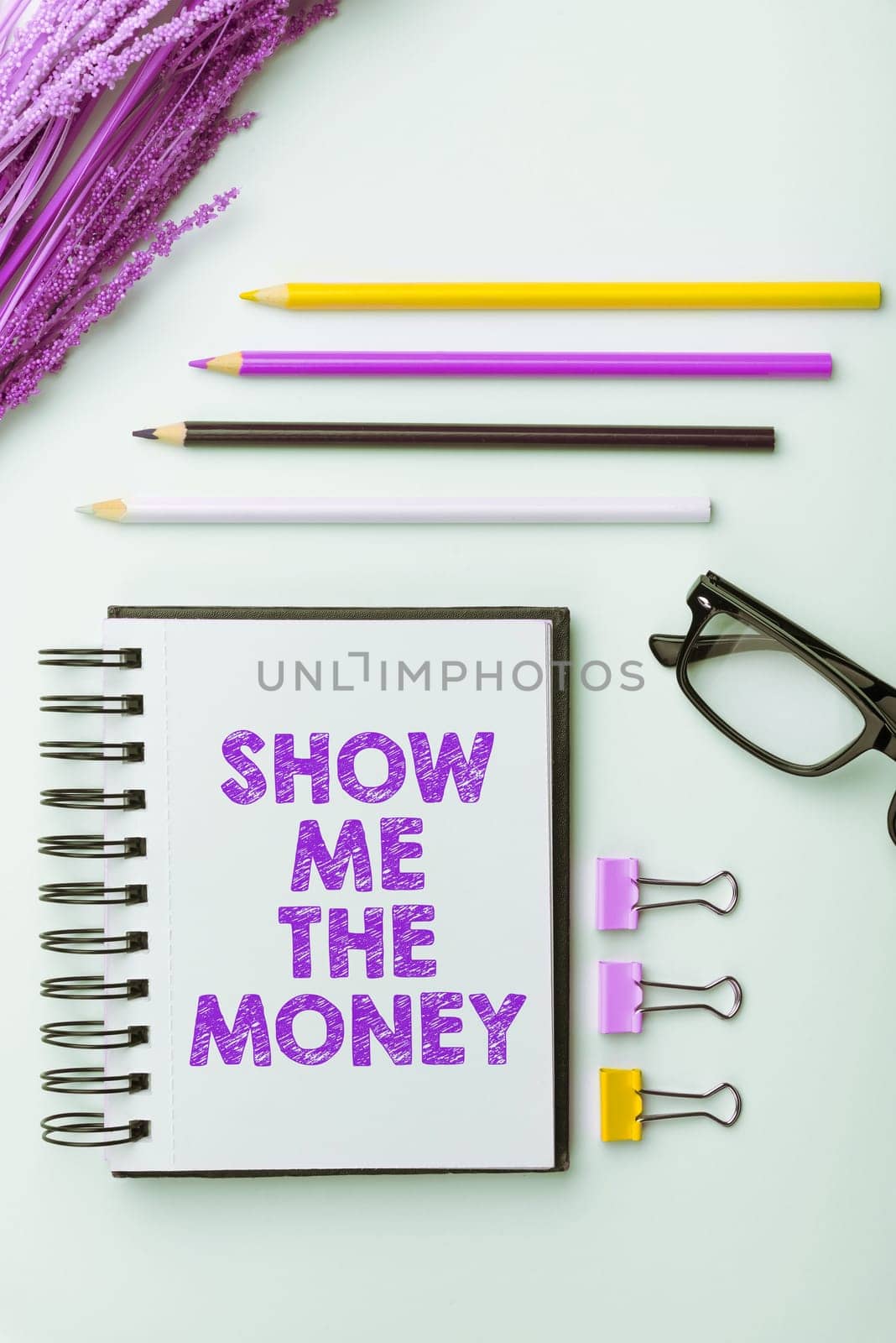 Text sign showing Show Me The Money, Word for Showing the cash before purchasing or making invests
