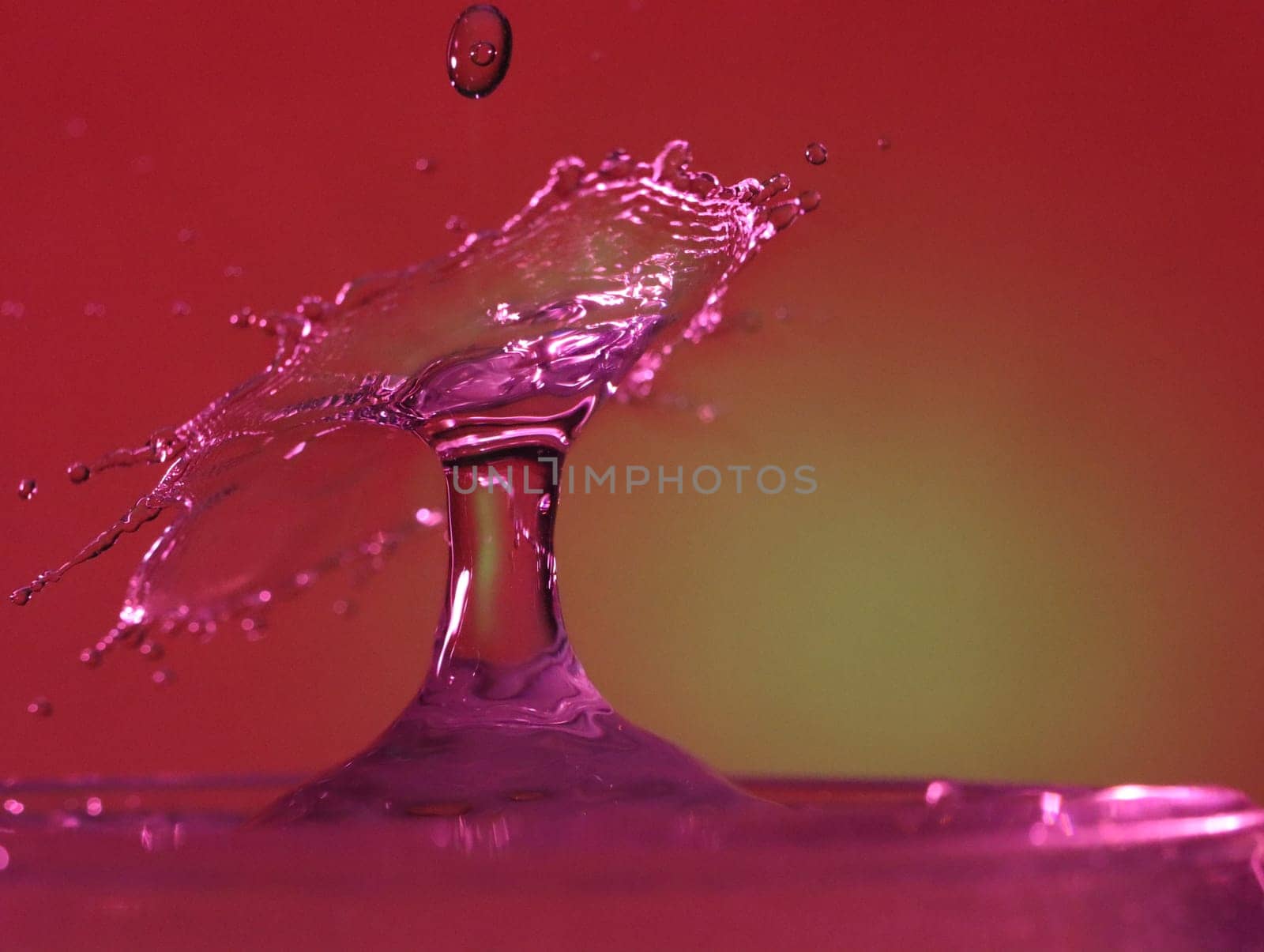 Drop of water colliding when it bounces and forming a palm tree