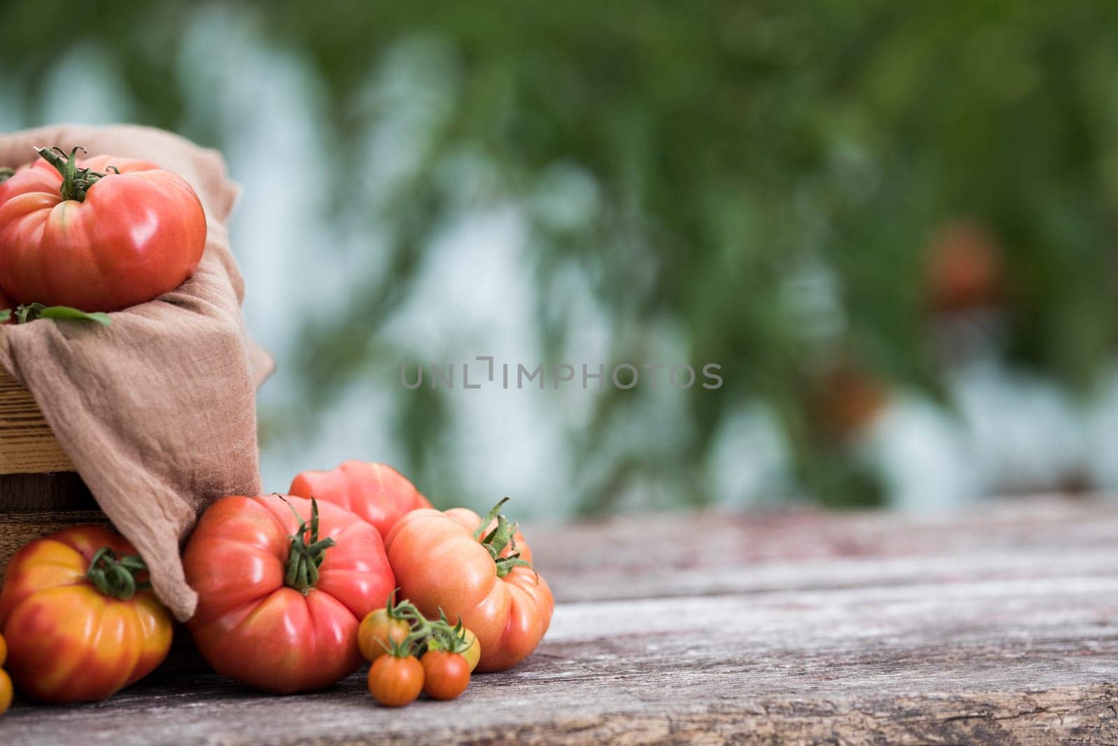 Vegetables, tomatoes on wooden desk