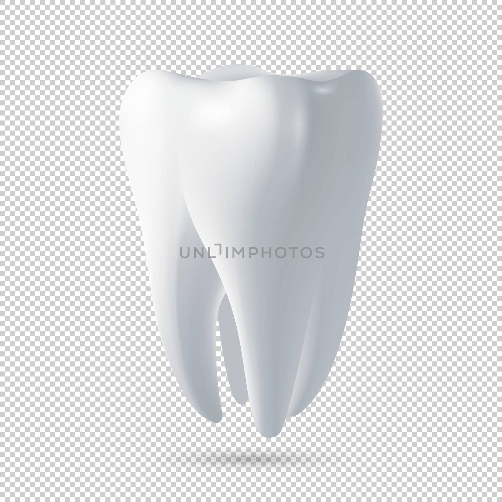 Realistic human tooth icon. Design template. Vector EPS10 illustration.