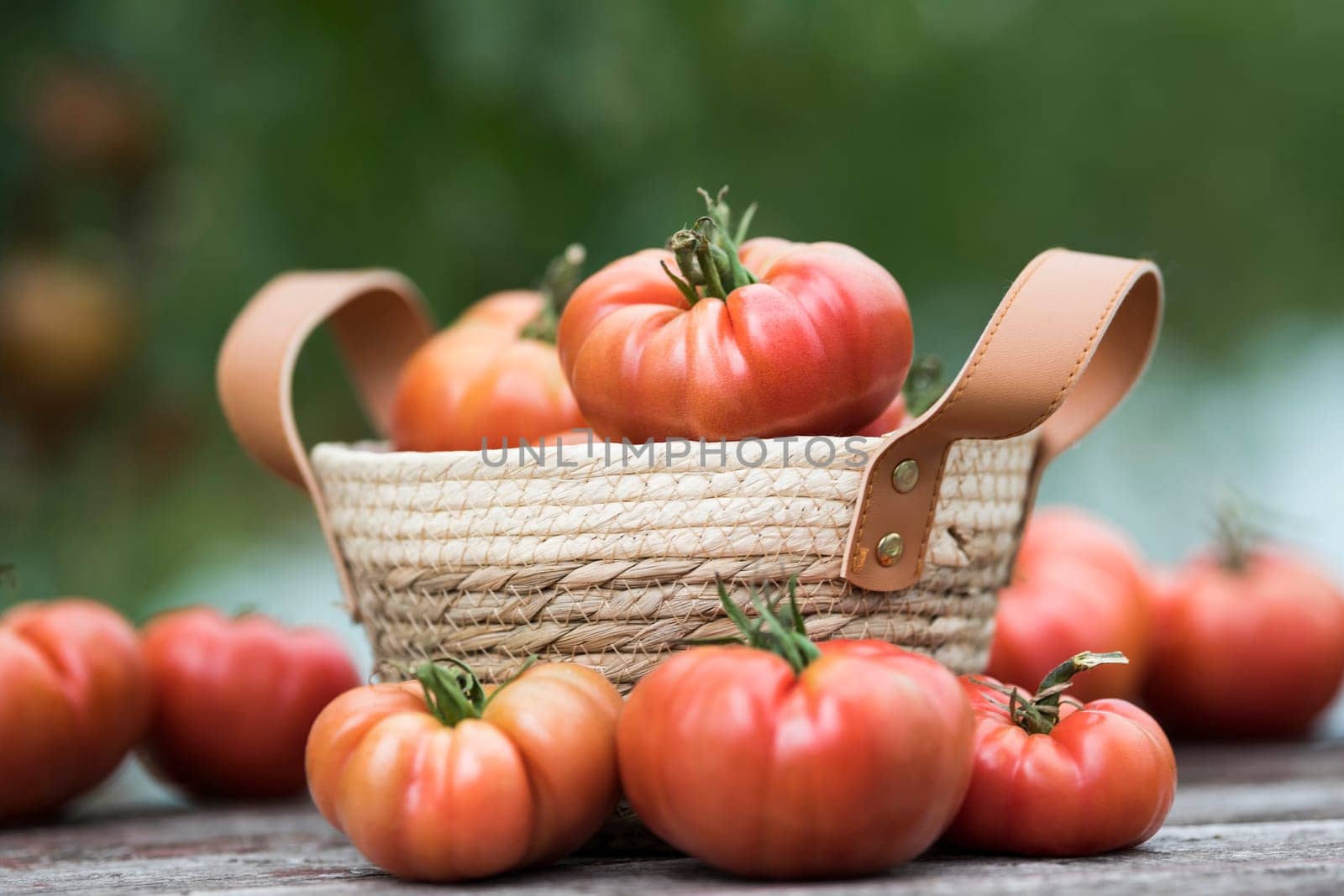 Tomatoes in a wicker basket