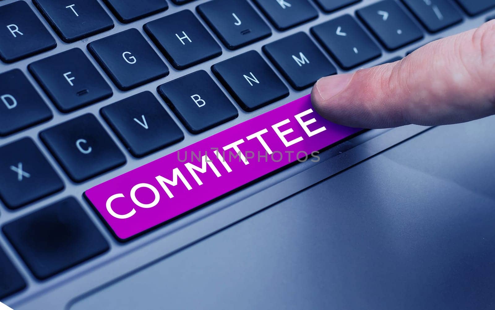 Text sign showing Committee, Concept meaning Group of people appointed for a specific function Company teamwork