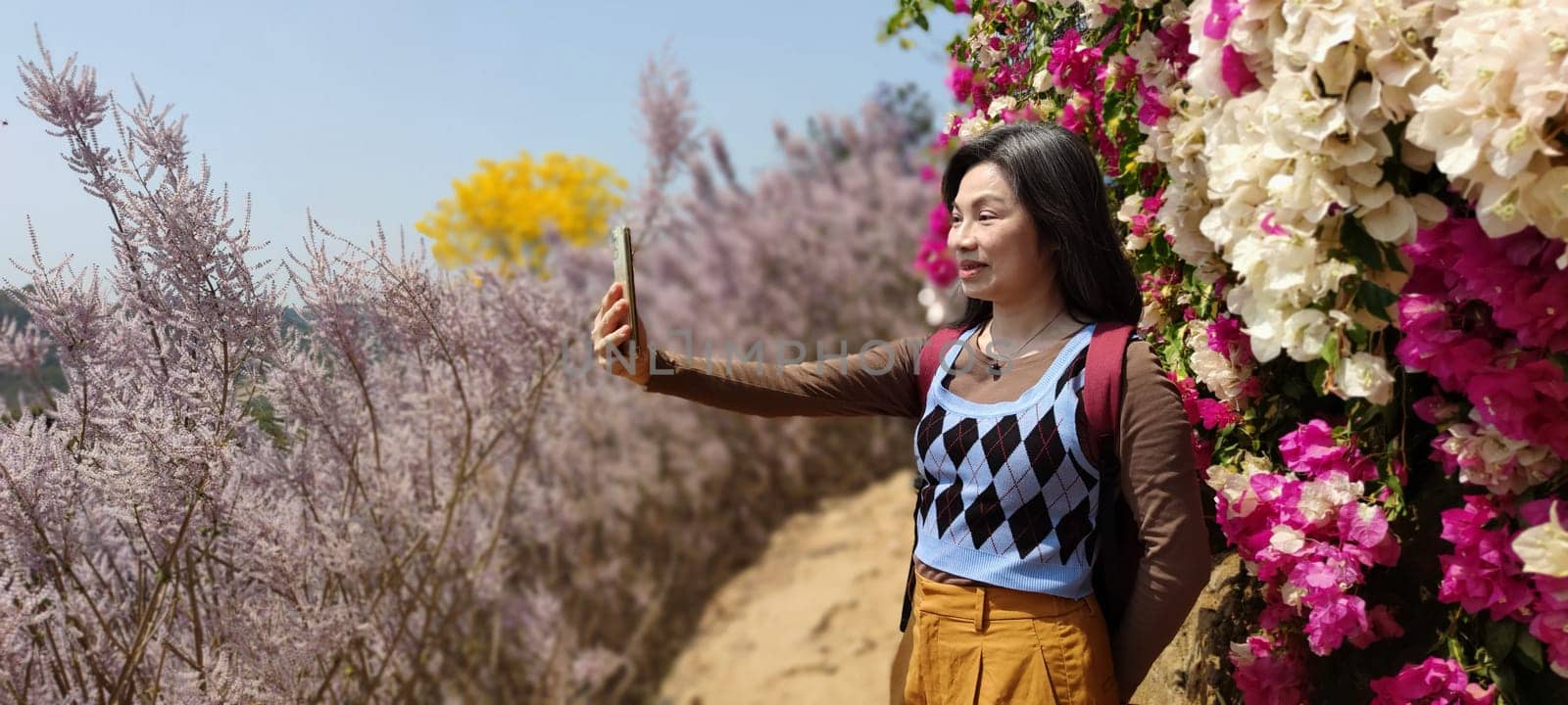Zhongliao Pink Hill Muskwood, Nantou - March 10, 2023 : Beautiful Pink Hill Muskwood in Zhongliao, Nantou, Taiwan