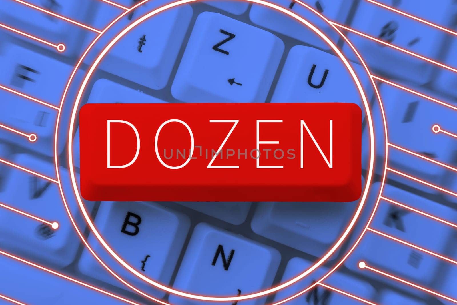 Sign displaying Dozen, Business concept group or set of twelve product food exchange of insults in us