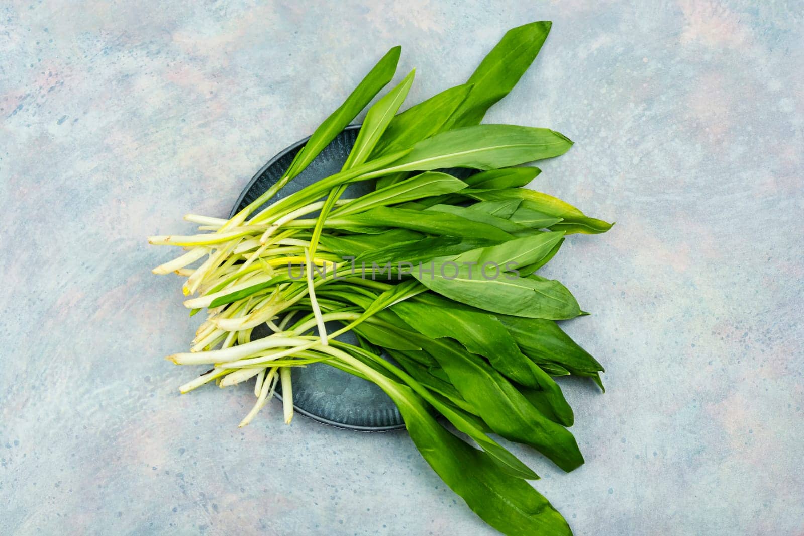 Fragrant fresh wild garlic or bear onion, as a spice for meat, fish and vegetable dishes. Homeopathic herbs
