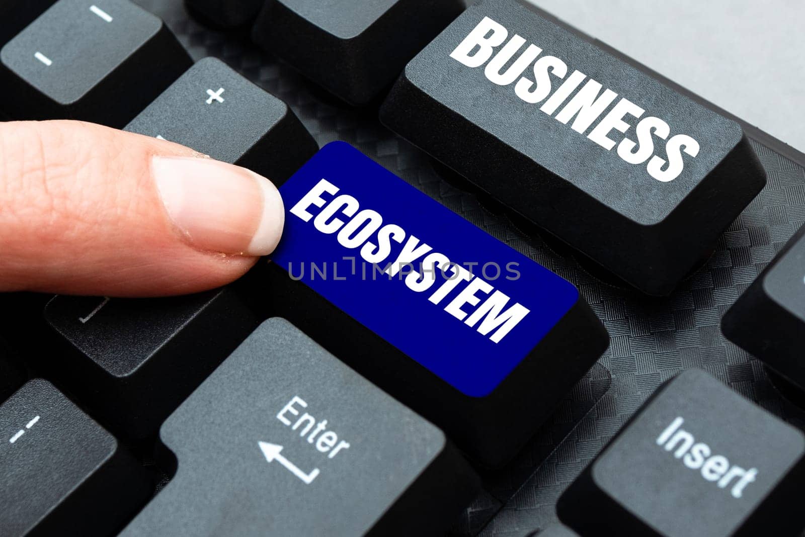 Conceptual caption Business Ecosystem, Business showcase Develop and Implement Organization Growth Opportunities