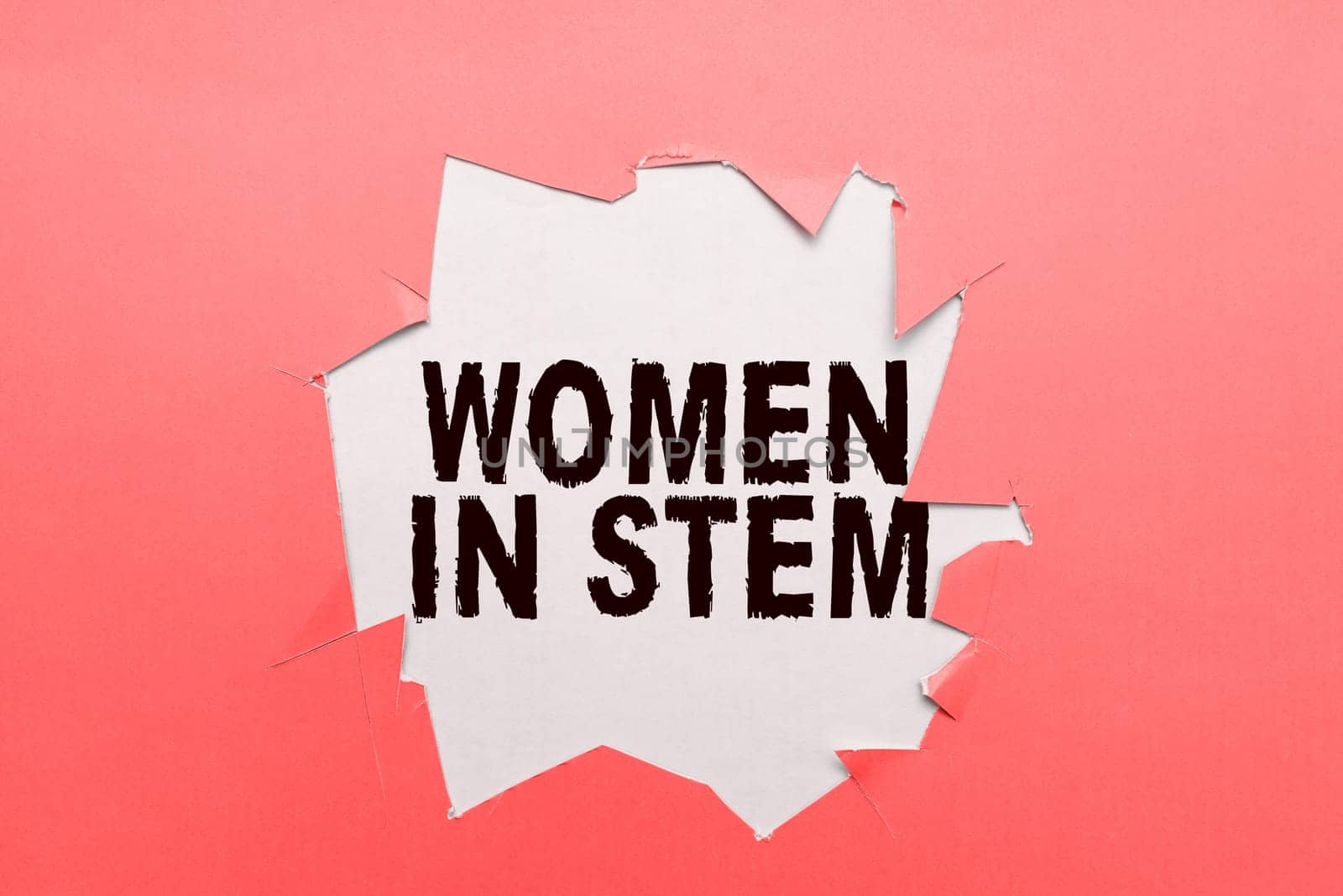 Text showing inspiration Women In Stem, Concept meaning Science Technology Engineering Mathematics Scientist Research
