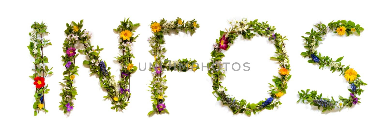 Blooming Flower Letters Building German Word Infos Means Information. Colorful Spring and Summer Blossoms. White Isolated Background.