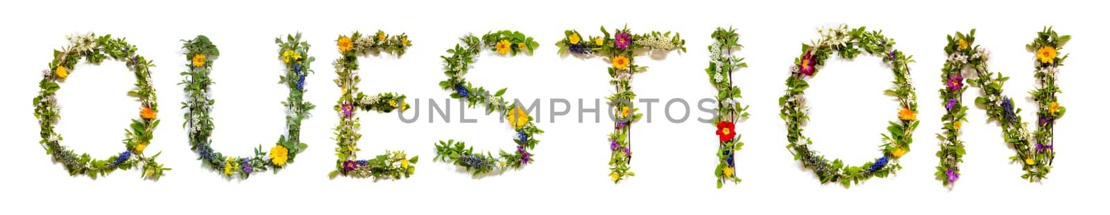 Blooming Flower Letters Building English Word Question. Colorful Spring and Summer Blossoms. White Isolated Background.
