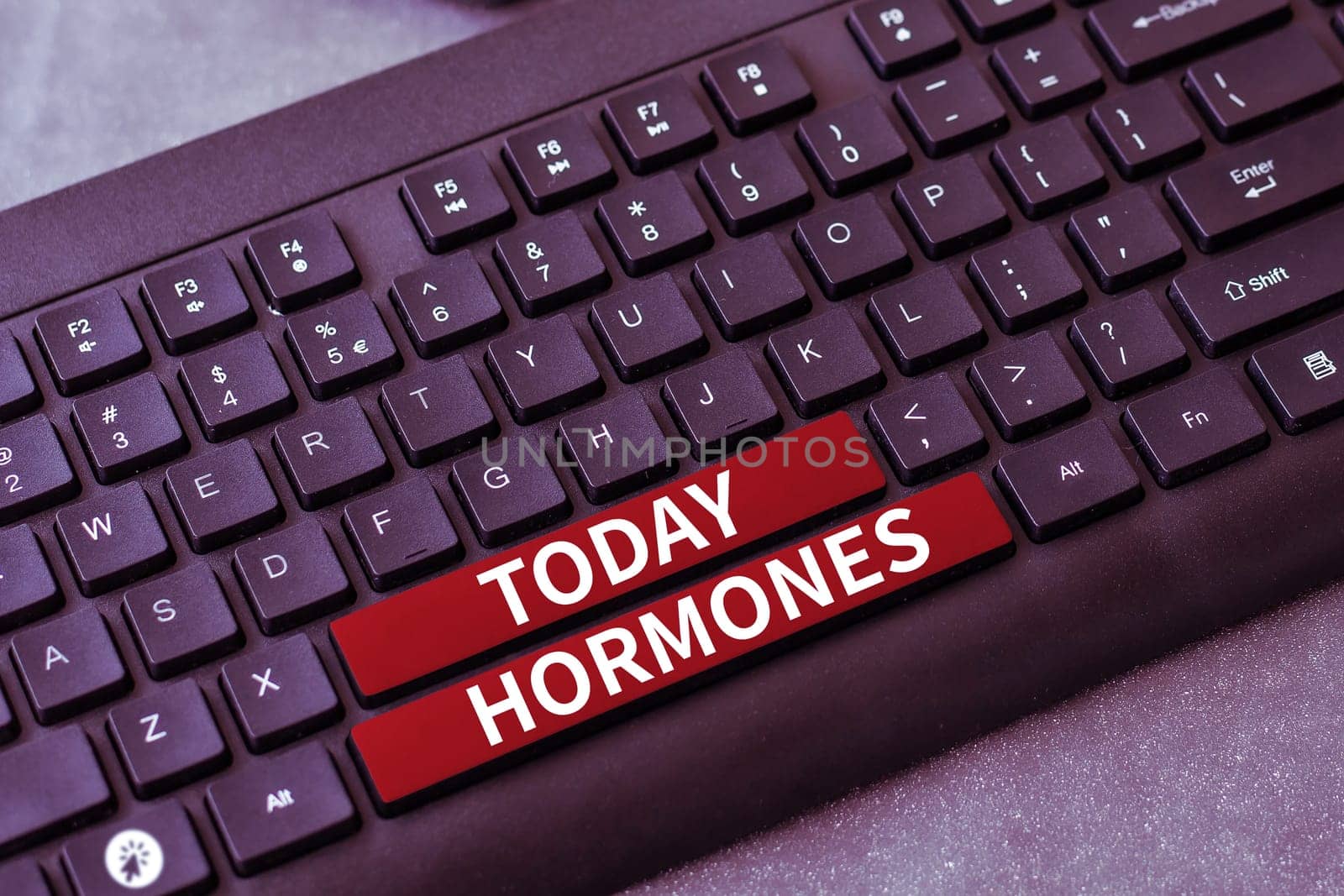 Text sign showing Hormones, Business idea regulatory substance produced in organism transported tissue fluids