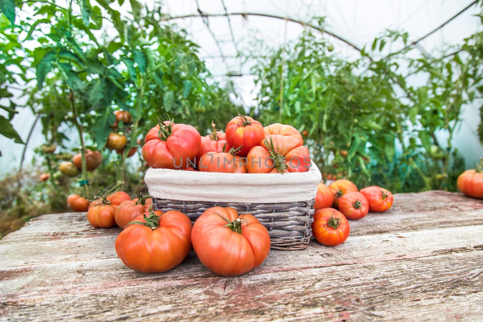 Vegetables, tomatoes on wooden desk