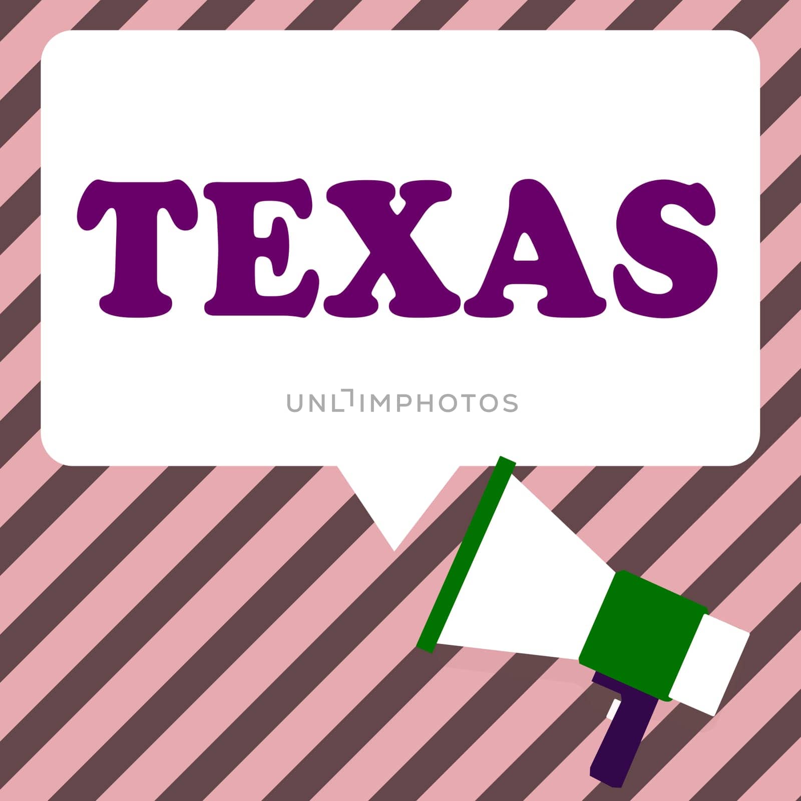 Sign displaying Texas, Conceptual photo a state in the South Central region of the United States