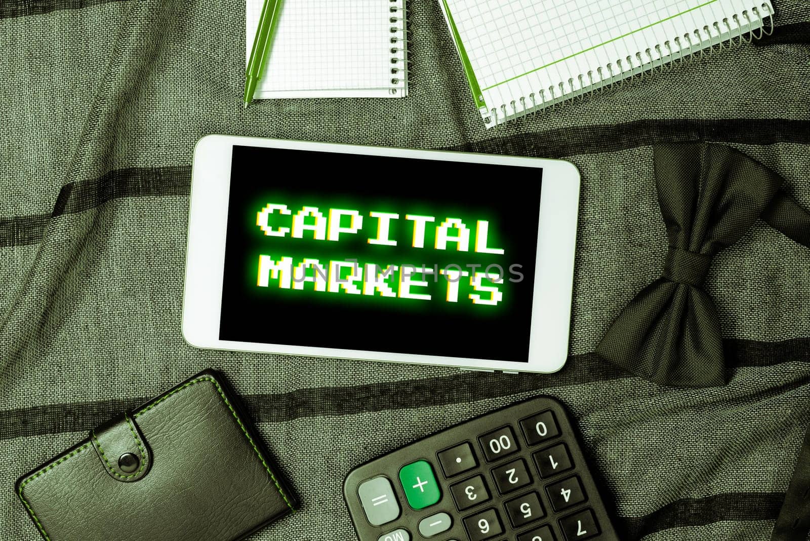 Hand writing sign Capital Markets, Business idea Allow businesses to raise funds by providing market security