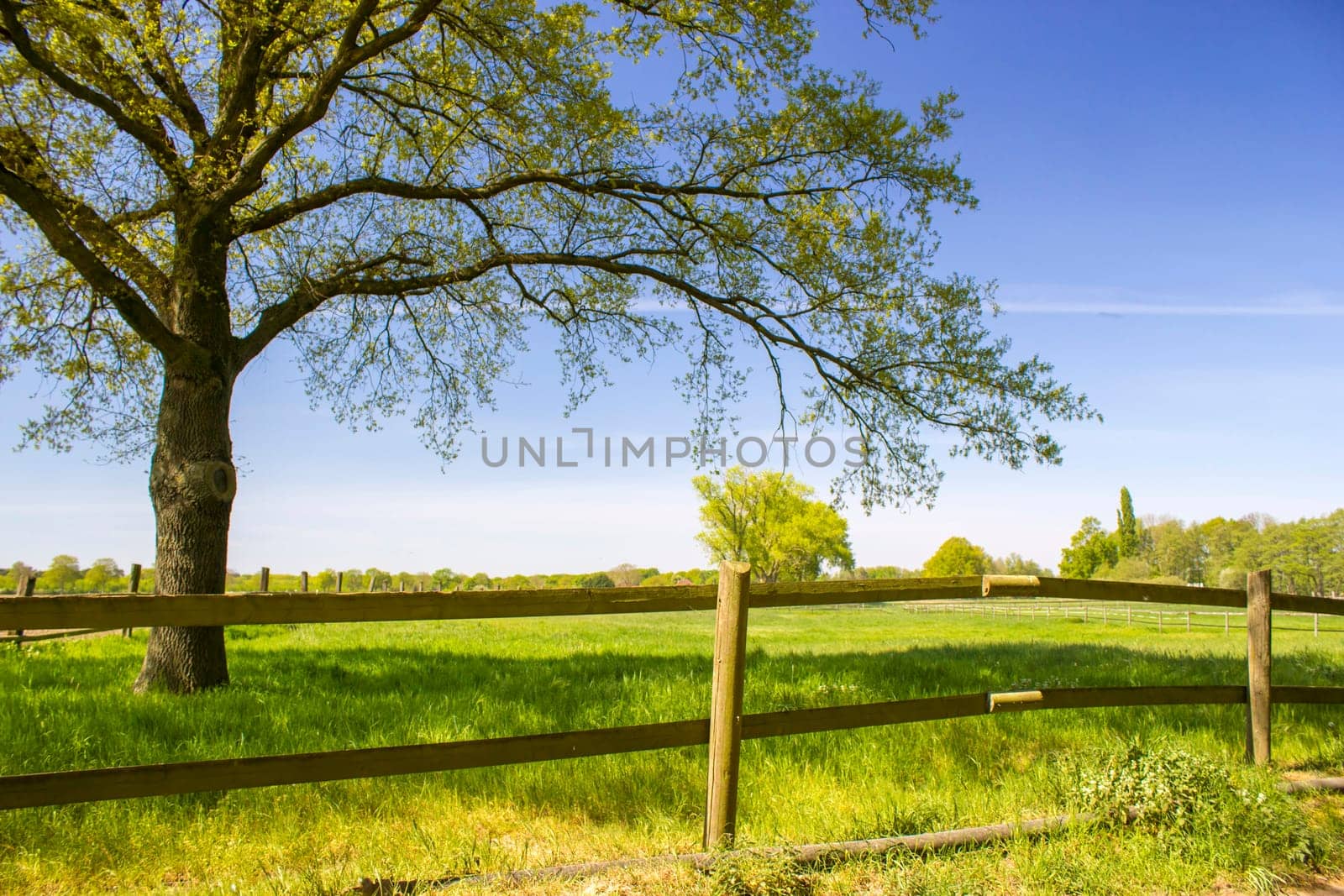 German countryside landscape, Lower Rhine Region