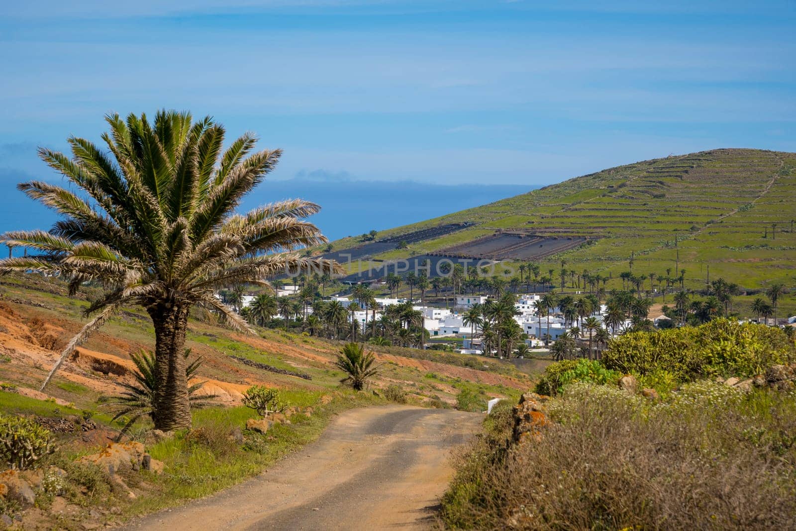 View on Haria on Lanzarote and the valley of the thousand palms. Travel and tourism on the Canary Islands.