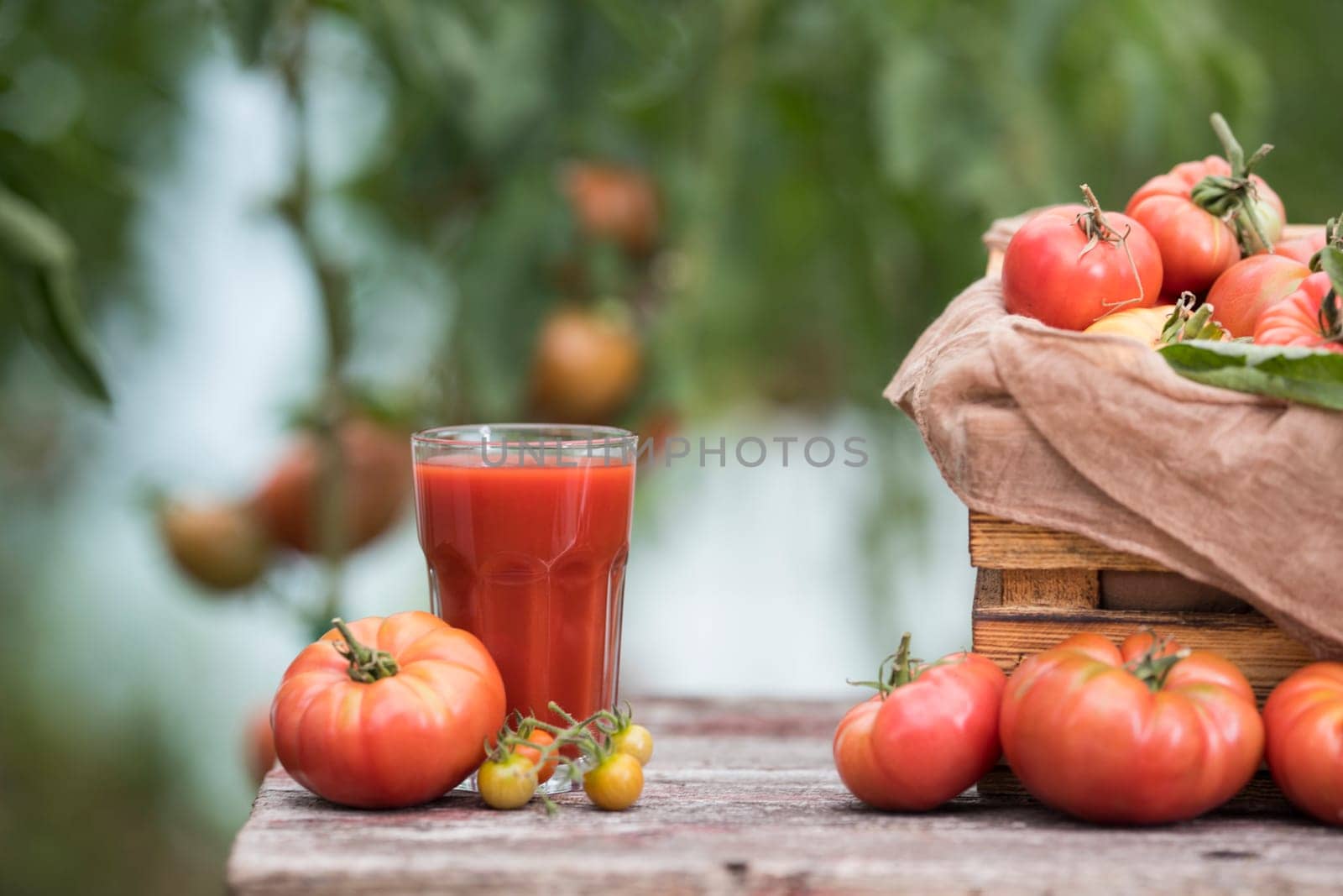 Fresh red tomato juice, on a wooden background