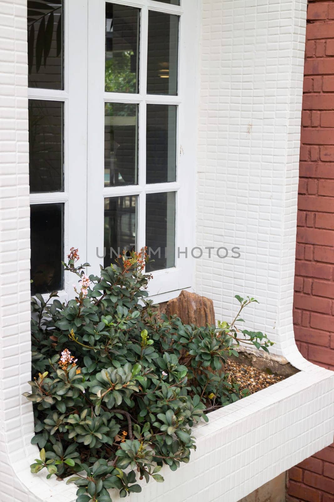 Room interior coffee shop with comfortable furniture, stock photo